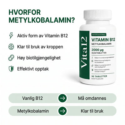 Vita12 - B12 Methylcobalamin